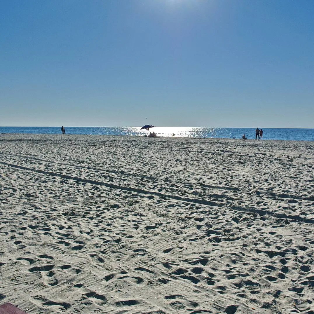 Городской транспорт против личного авто: где что выгоднее